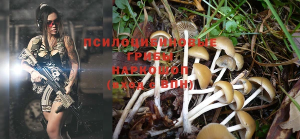 экстази Заволжск